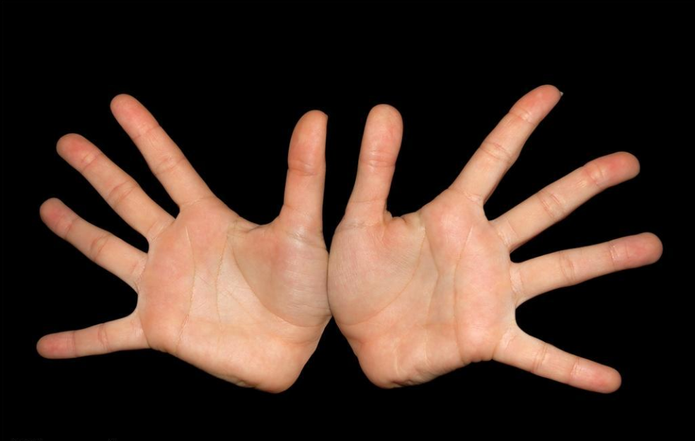 小學(xué)生科普教育之手指