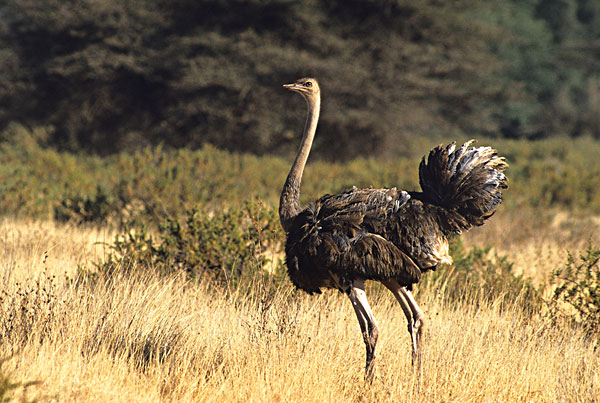 科學(xué)實(shí)驗(yàn)記錄之實(shí)物